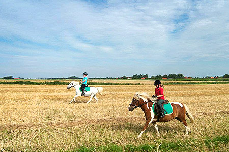 Foto aus der Fotogruppe 