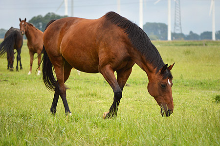 Foto aus der Fotogruppe 