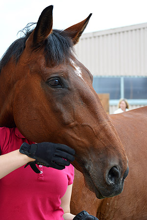 Foto aus der Fotogruppe 
