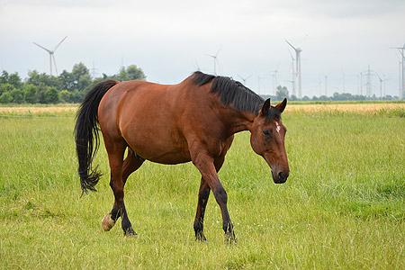 Foto aus der Fotogruppe 