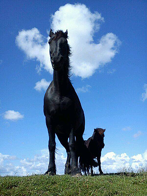 Foto aus der Fotogruppe 