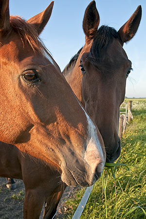 Foto aus der Fotogruppe 