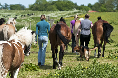 Foto aus der Fotogruppe 