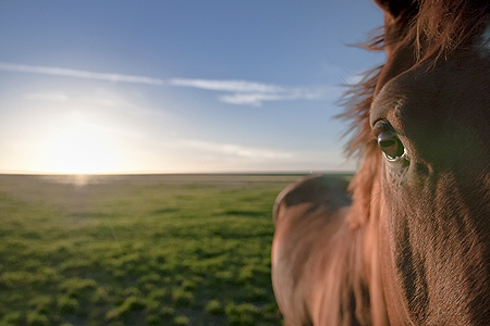 Foto aus der Fotogruppe 