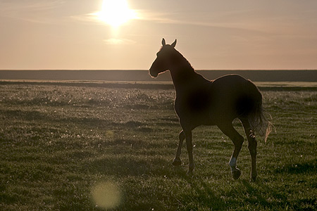 Foto aus der Fotogruppe 