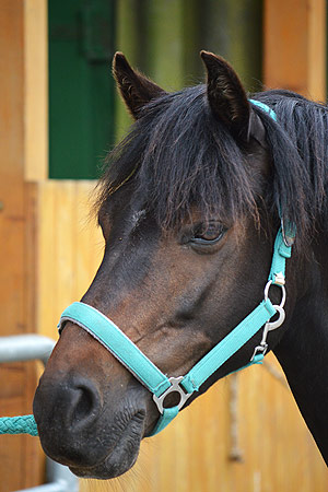 Foto aus der Fotogruppe 