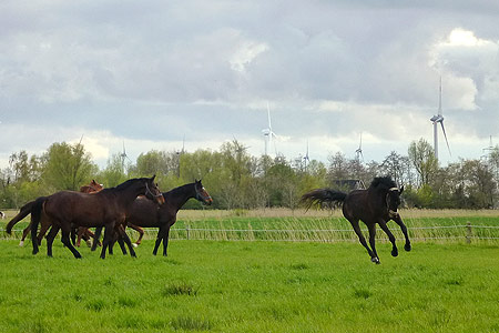 Foto aus der Fotogruppe 