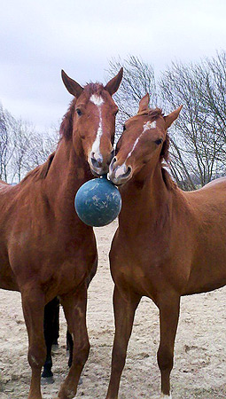 Foto aus der Fotogruppe 