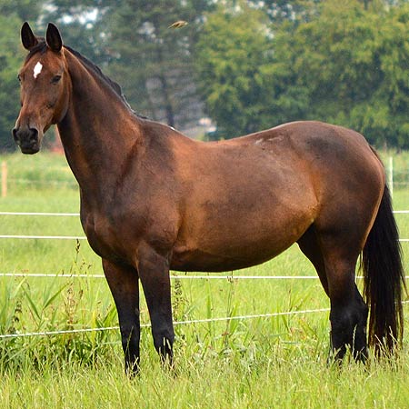 Foto aus der Fotogruppe 