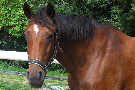 Foto aus der Fotogruppe 