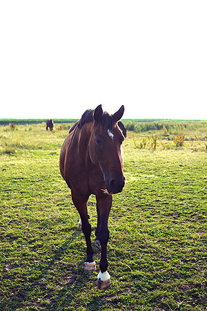 Foto aus der Fotogruppe 