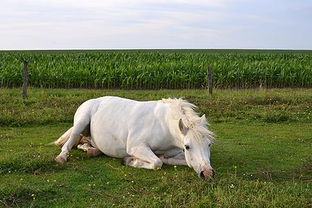 Foto aus der Fotogruppe 