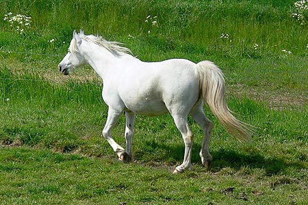 Foto aus der Fotogruppe 