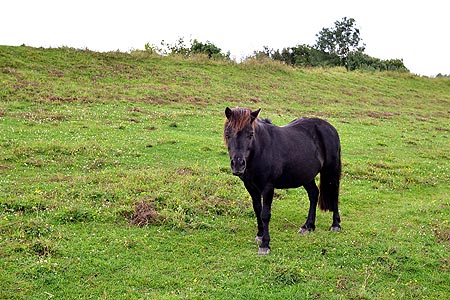 Foto aus der Fotogruppe 