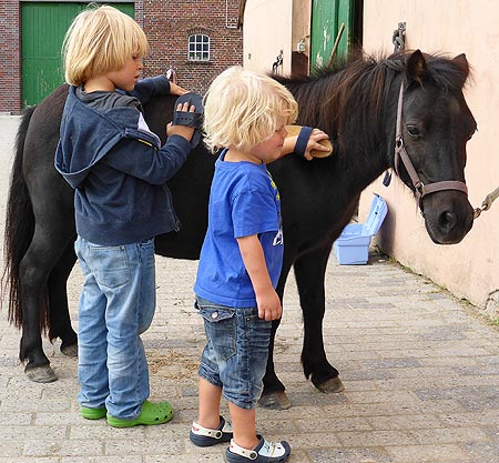 Foto aus der Fotogruppe 